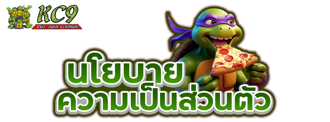 นโยบายความเป็นส่วนตัว
